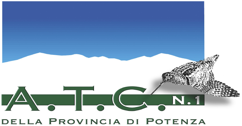 ATC1 POTENZA